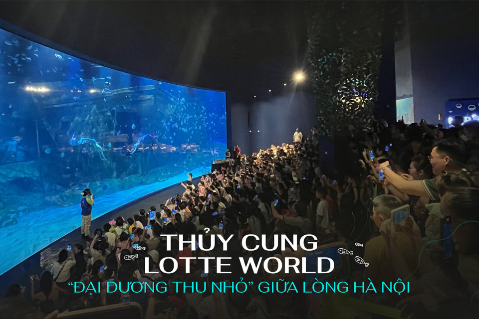 Thủy cung Lotte World - 'đại dương thu nhỏ' giữa lòng Hà Nội