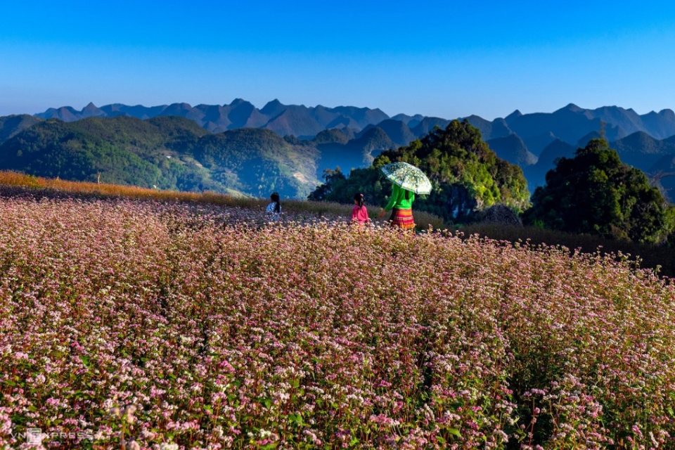 4 điểm đến ngắm thu ở Việt Nam